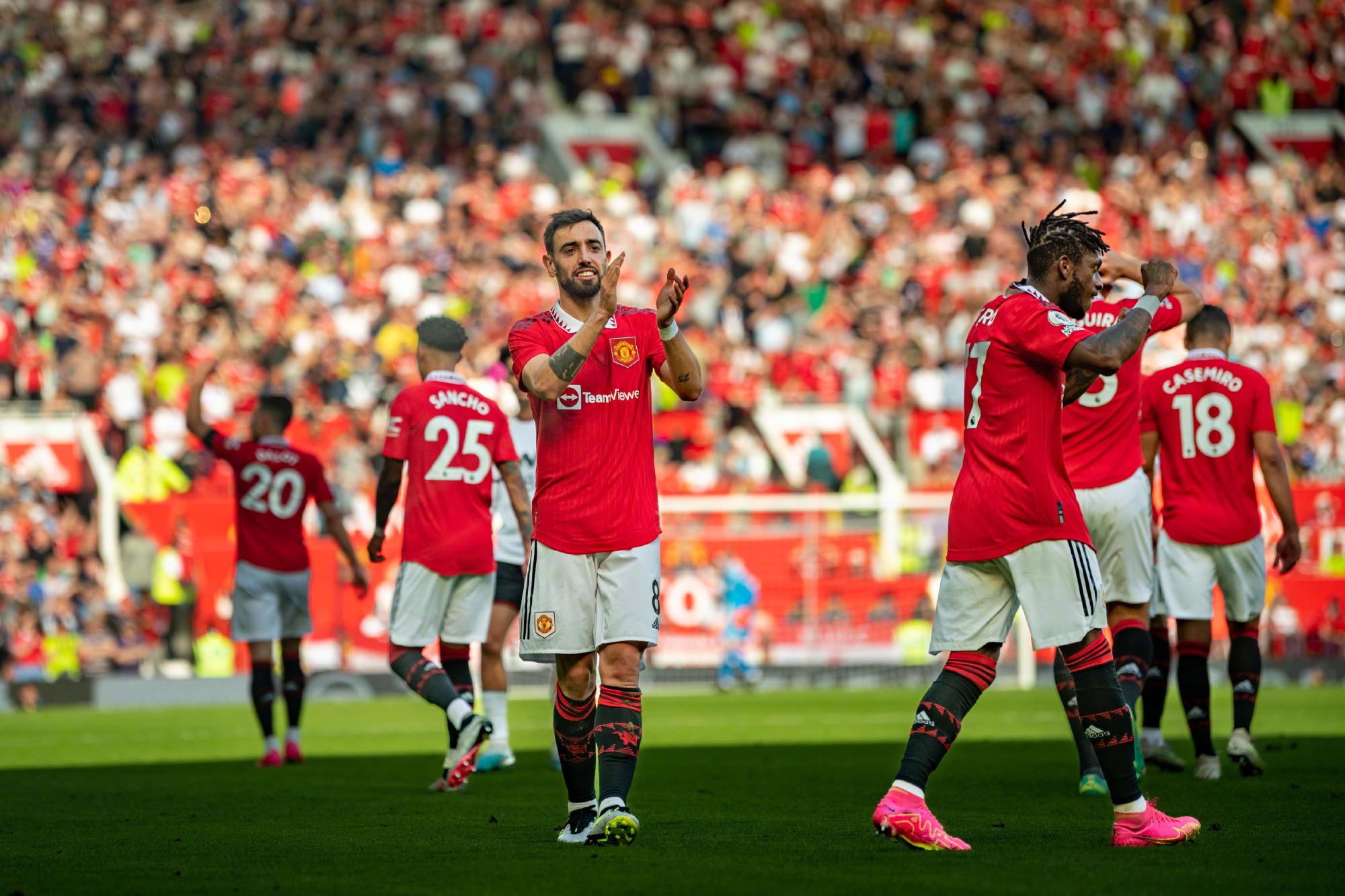 合埋下更多 合埋下更多